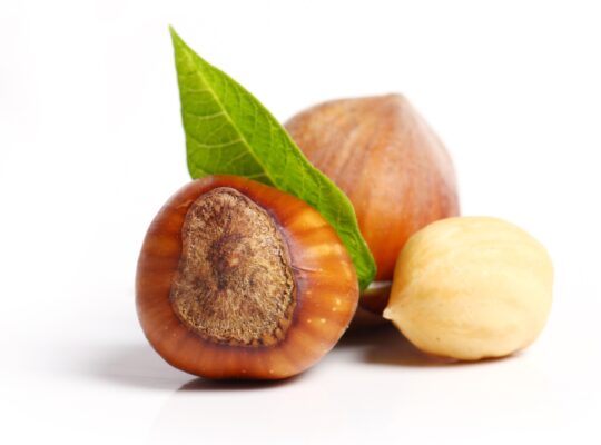 Close up of hazelnuts