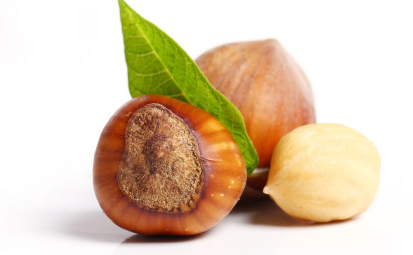 Close up of hazelnuts