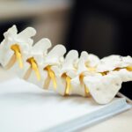 Tout sur l’anatomie : liste des parties du corps commençant par r à savoir